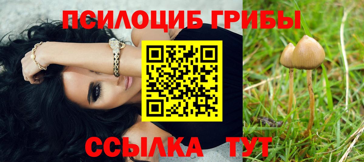 Шахты  Галлюциногенные грибы MAGIC MUSHROOMS  Вход с VPN 